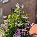 Deich Winde 9.2 Apartmán *