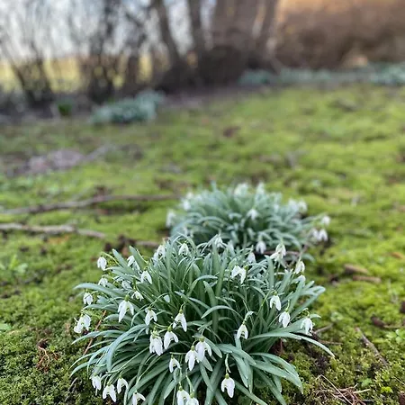 Deich Winde 9.2 Apartman