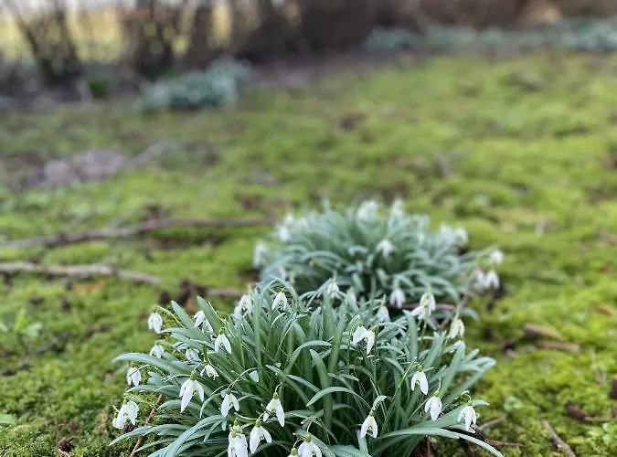 Deich Winde 9.2 Apartman