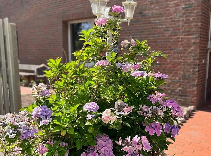 Deich Winde 9.2 Апартаменты *